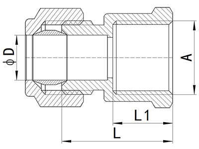 HS320-002 Compression Union Female