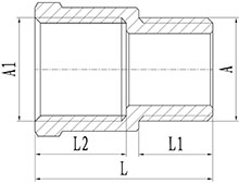 HS330-004 Brass Hex Socket M&F